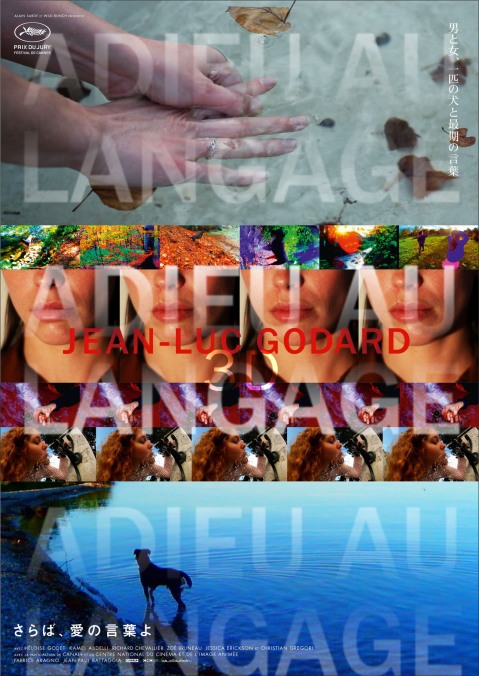 Goodbye To Language 3D